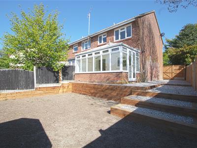 Picture 11